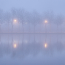 Parc Dodaine Brouillard Avenue Jules Mathieux copy