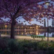 Parc Banc Cerisier